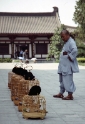 bird seller, Xian China